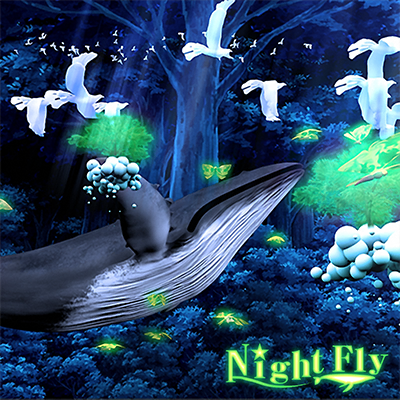 Night Fly 封面