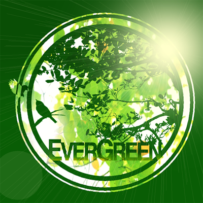EVERGREEN 封面